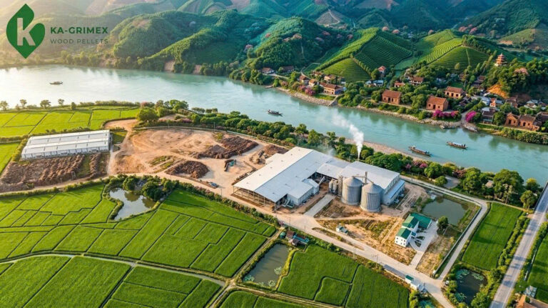 z7708040957884_924076552c91e824d65050e3b54cd8ca