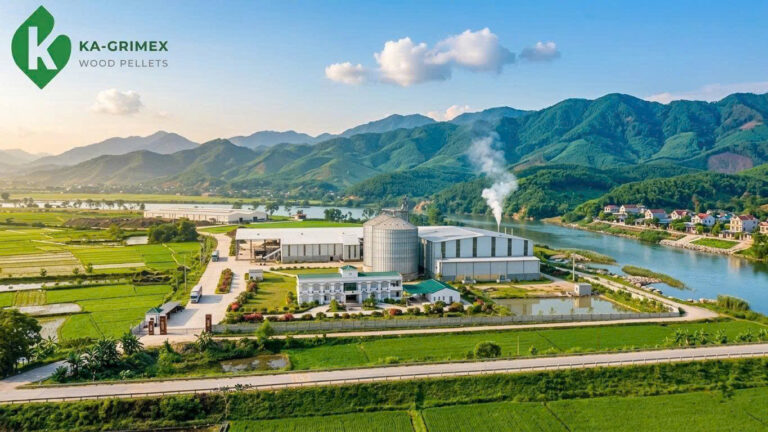 z7708040959131_9d07b0b55b9e502e3756a5ae04d32e3a